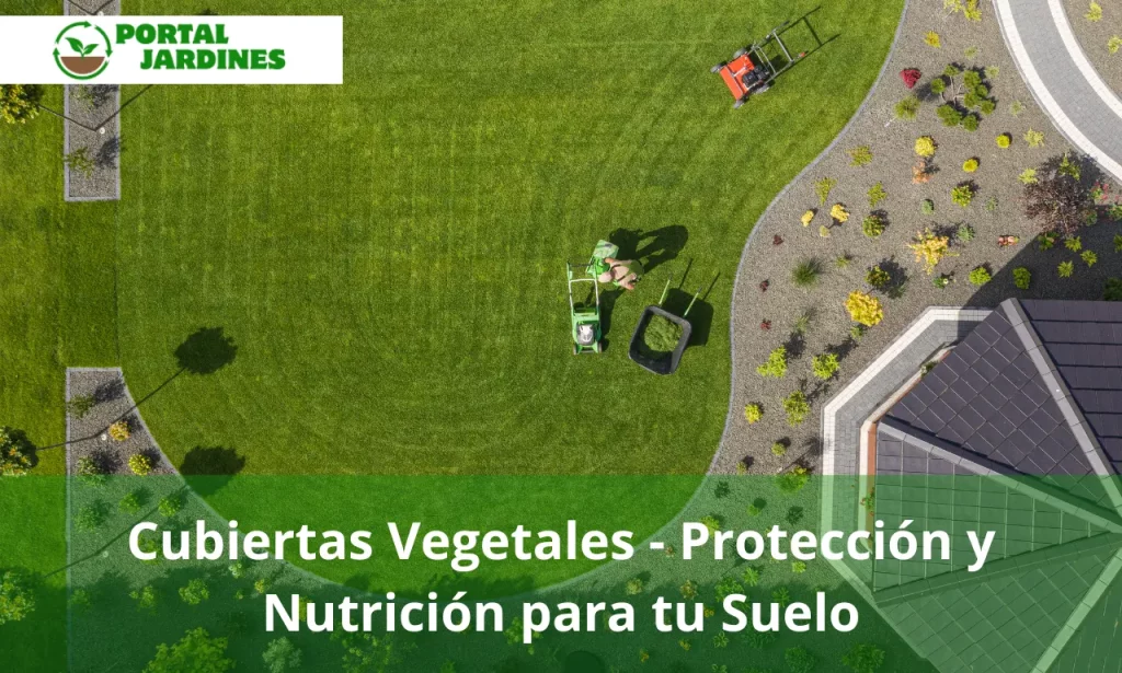 Cubiertas Vegetales - Protección y Nutrición para tu Suelo