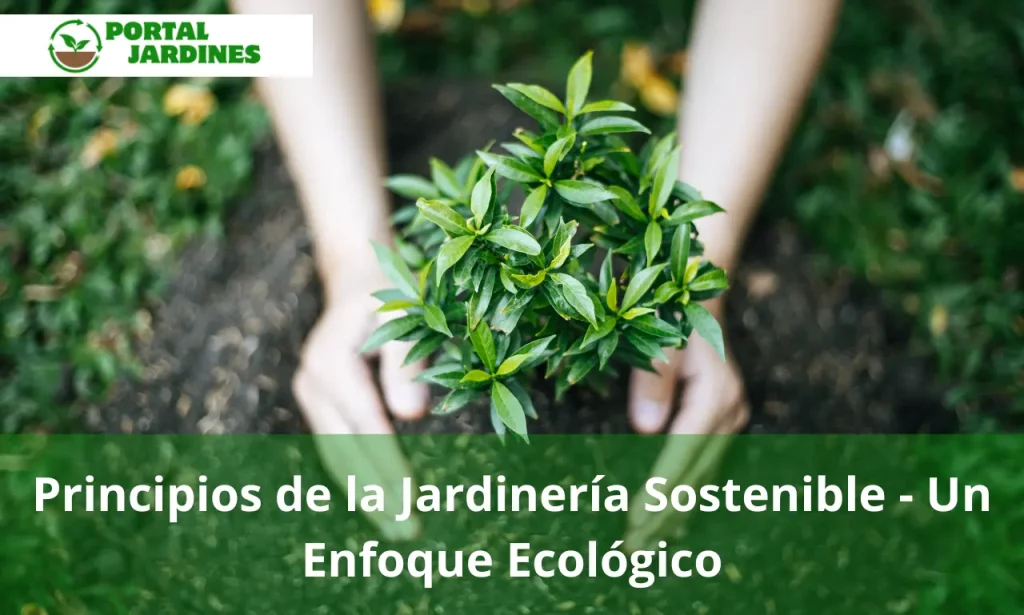 Principios de la Jardinería Sostenible - Un Enfoque Ecológico